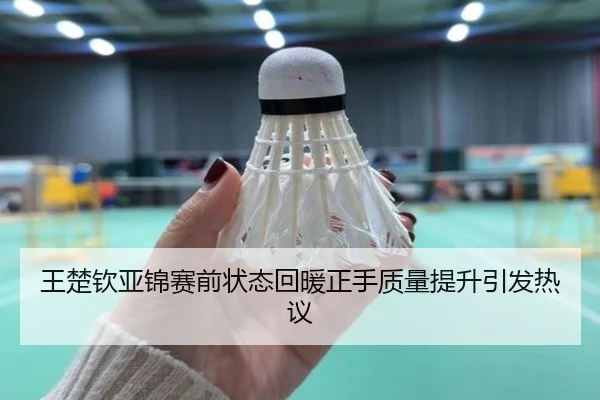 王楚钦亚锦赛前状态回暖正手质量提升引发热议（leyu）