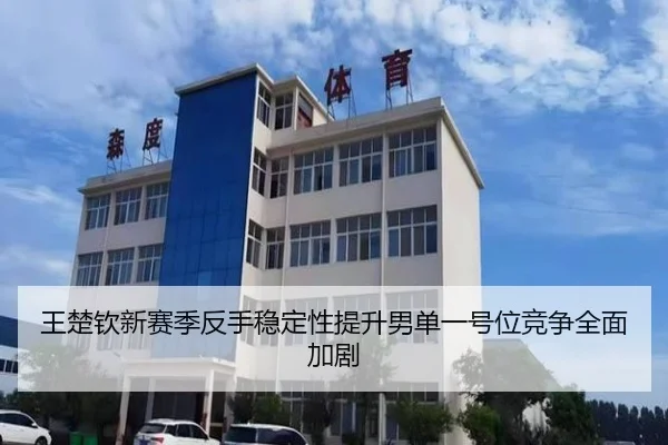 王楚钦新赛季反手稳定性提升男单一号位竞争全面加剧（leyu）